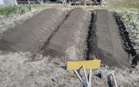 f:id:tossy123:20220308124650j:plain