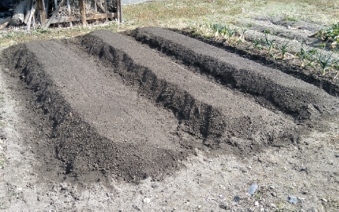 f:id:tossy123:20220308125044j:plain