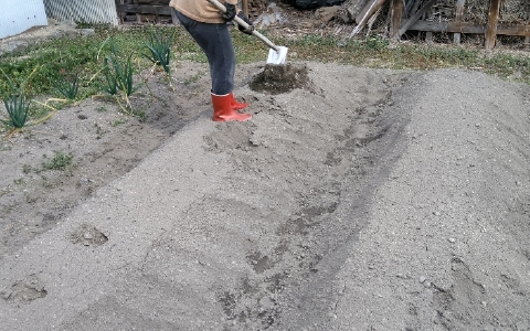 f:id:tossy123:20220314082554j:plain