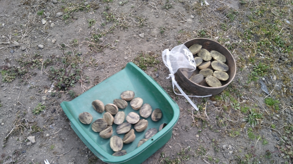 f:id:tossy123:20220314083506j:plain