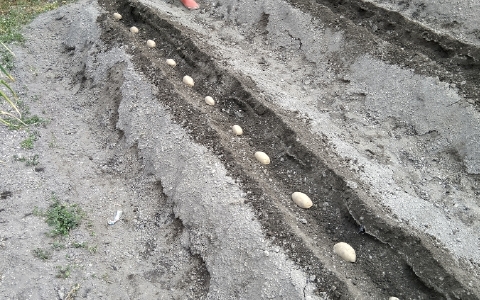 f:id:tossy123:20220314083707j:plain