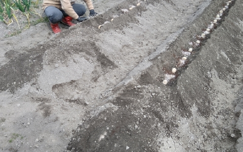 f:id:tossy123:20220314083958j:plain