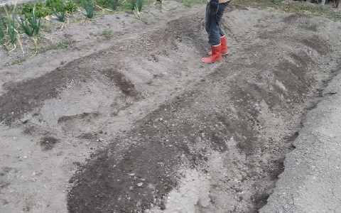 f:id:tossy123:20220314084006j:plain