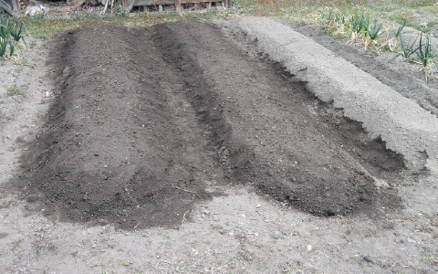 f:id:tossy123:20220314084110j:plain