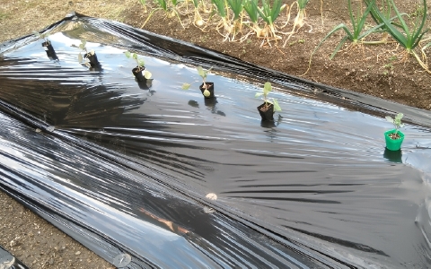 f:id:tossy123:20220322094643j:plain