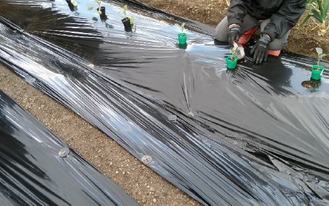 f:id:tossy123:20220322094740j:plain