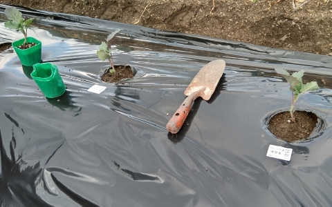 f:id:tossy123:20220322094801j:plain