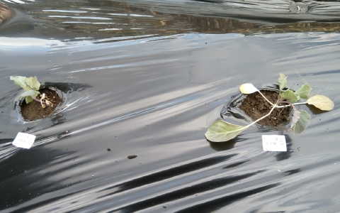 f:id:tossy123:20220322094812j:plain