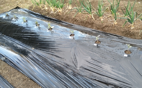 f:id:tossy123:20220322095141j:plain