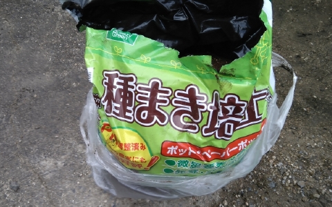 f:id:tossy123:20220322095417j:plain