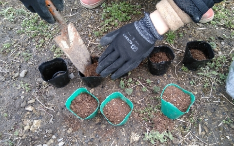 f:id:tossy123:20220322095518j:plain