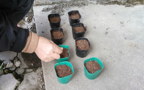 f:id:tossy123:20220322095530j:plain