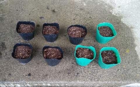 f:id:tossy123:20220322095701j:plain