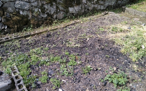 f:id:tossy123:20220325135440j:plain