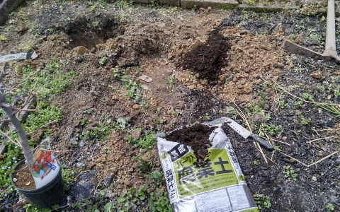 f:id:tossy123:20220325140524j:plain