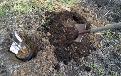 f:id:tossy123:20220325140536j:plain