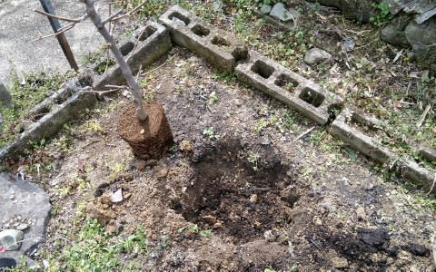 f:id:tossy123:20220325140702j:plain