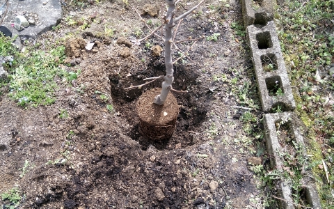 f:id:tossy123:20220325140842j:plain