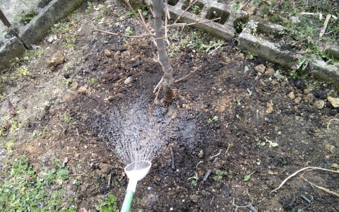 f:id:tossy123:20220325141127j:plain