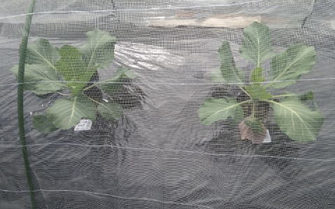 f:id:tossy123:20220413101106j:plain