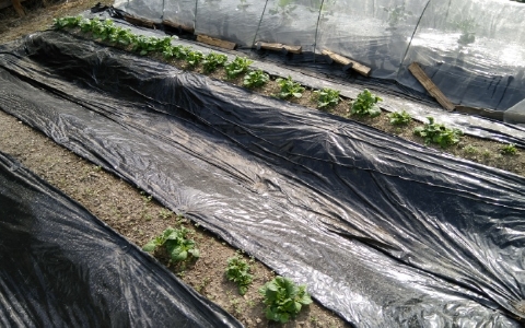 f:id:tossy123:20220413101417j:plain