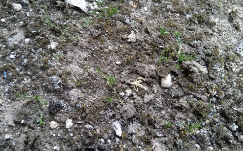 f:id:tossy123:20220413101746j:plain