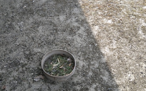 f:id:tossy123:20220413101925j:plain