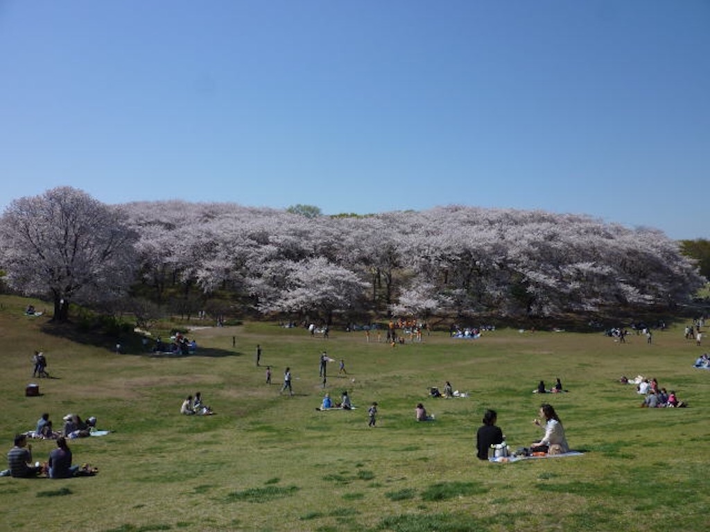 f:id:tot0to:20160314220640j:image f:id:tot0to:20160314220640j:image