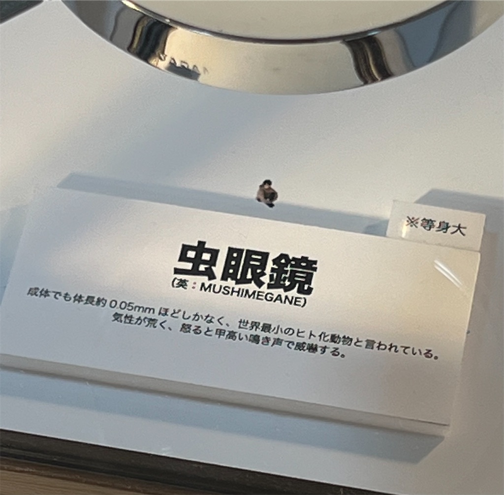 f:id:tot_1o0:20230409172504j:image f:id:tot_1o0:20230409172504j:image