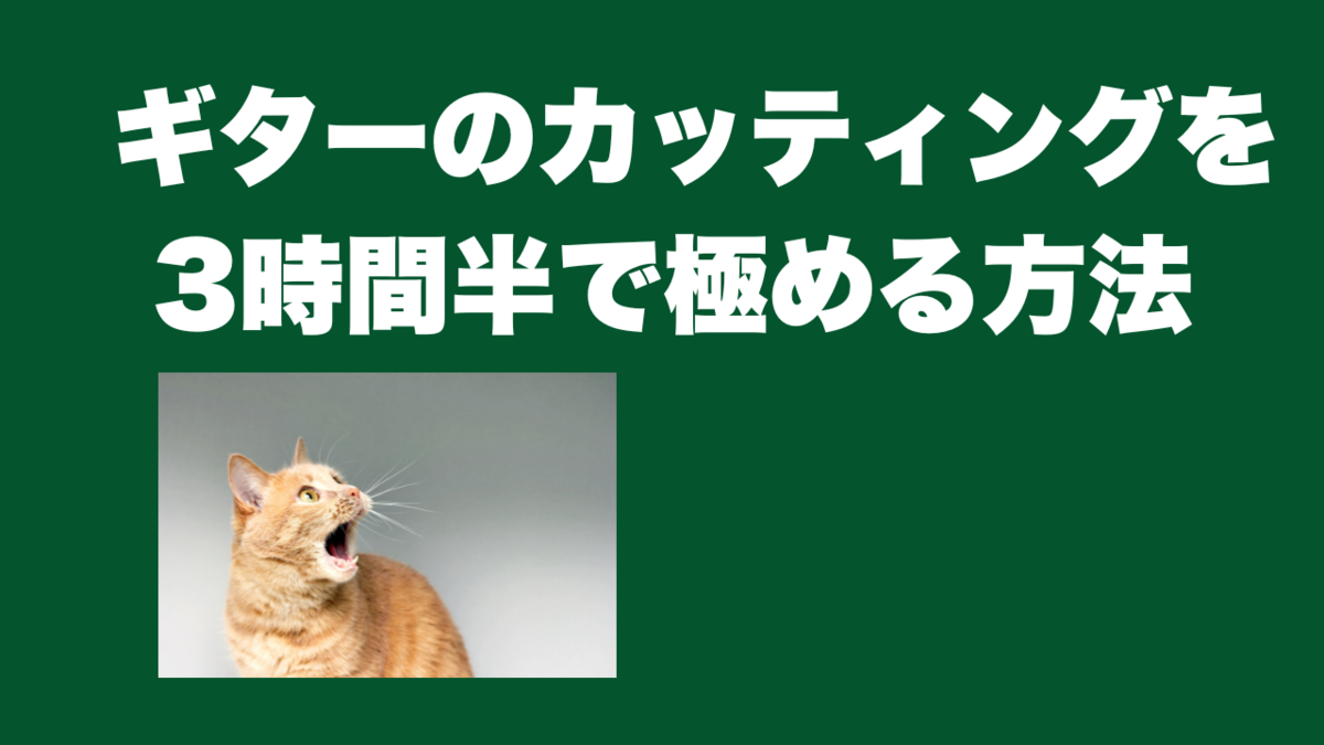 津本幸司　カッティング
