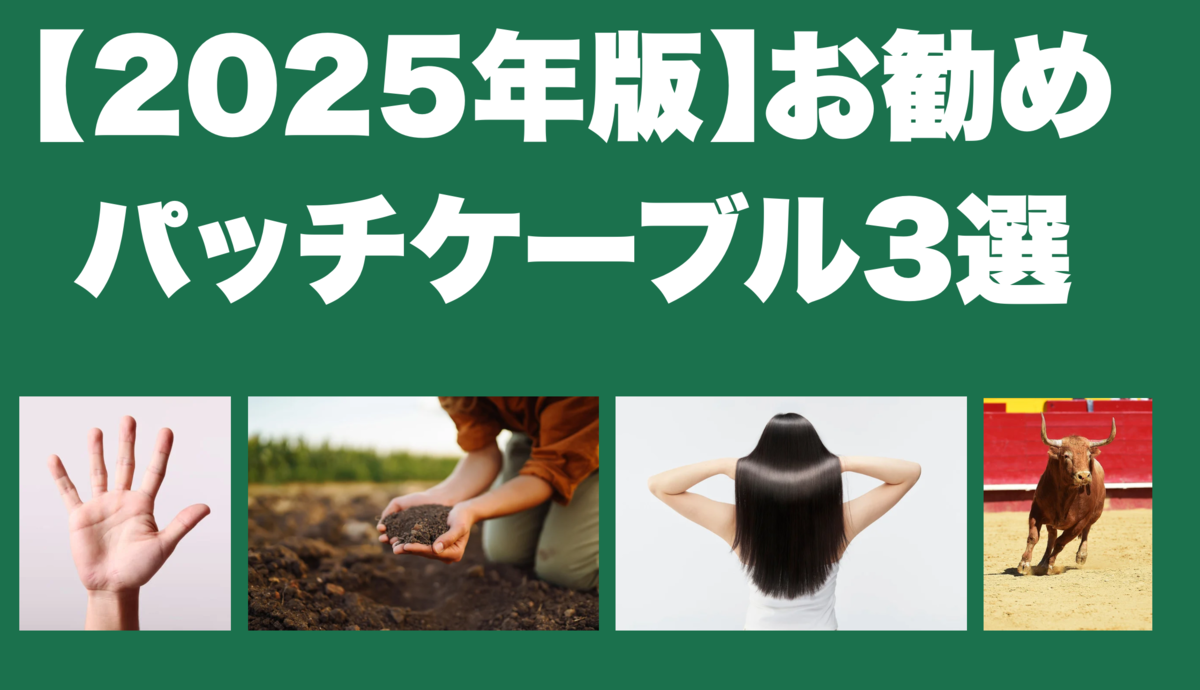 津本幸司　パッチケーブル
