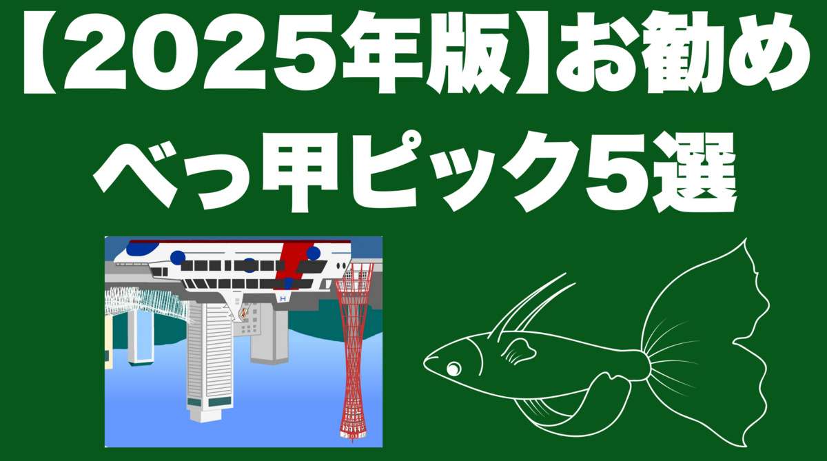 津本幸司　べっ甲