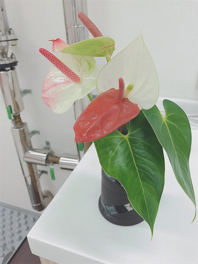 f:id:toteemototeemoo170:20180821231256j:image f:id:toteemototeemoo170:20180821231256j:image
