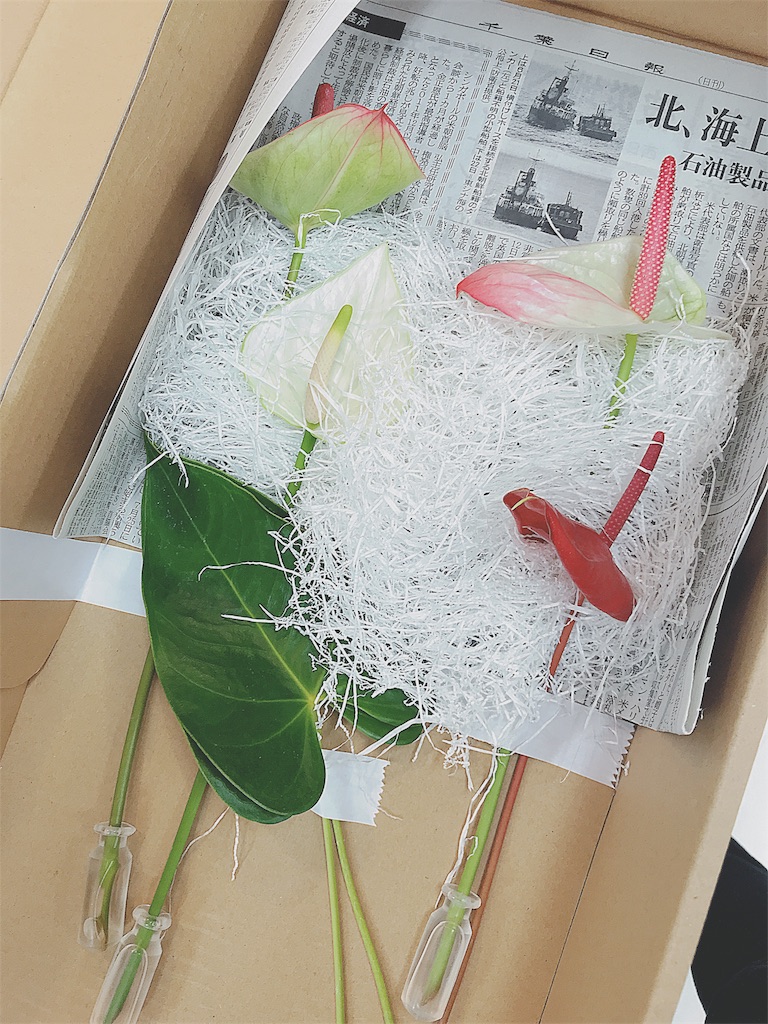 f:id:toteemototeemoo170:20180821231308j:image f:id:toteemototeemoo170:20180821231308j:image