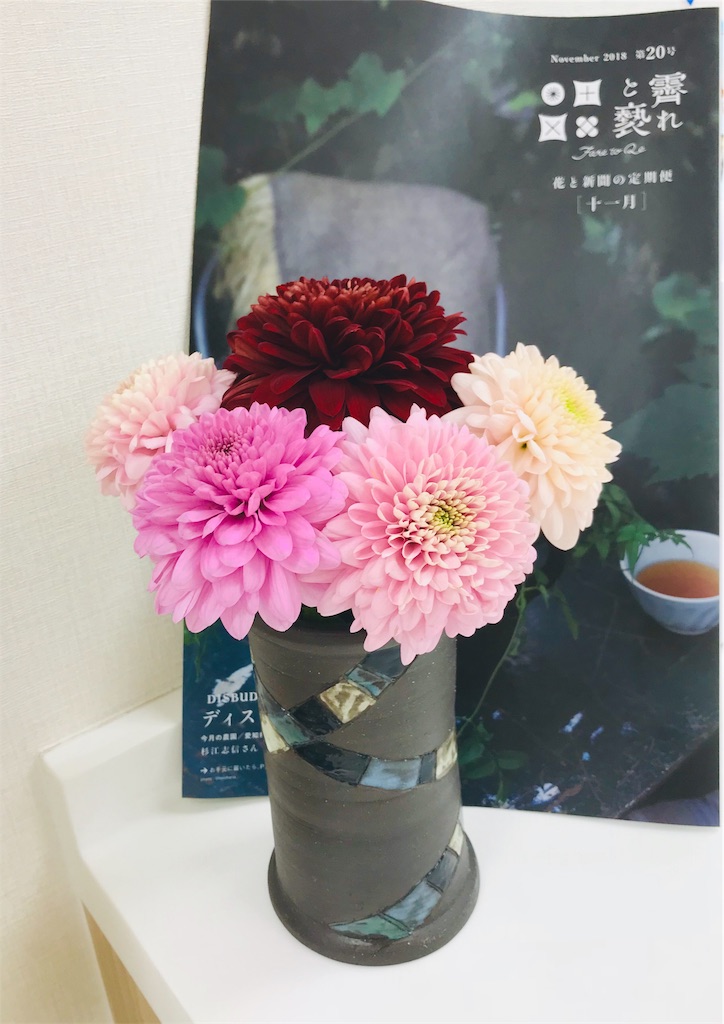 f:id:toteemototeemoo170:20181128163947j:image f:id:toteemototeemoo170:20181128163947j:image