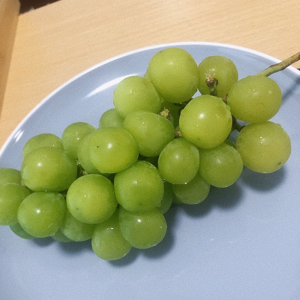 f:id:totemonemuiyo:20250906143819j:image f:id:totemonemuiyo:20250906143819j:image