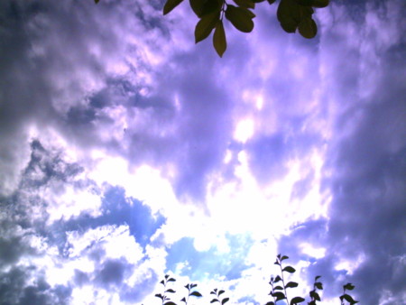f:id:totetu:20090524005947j:image