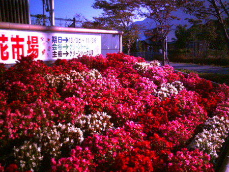 f:id:totetu:20090922205829j:image f:id:totetu:20090922205829j:image