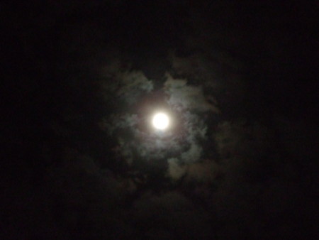 f:id:totetu:20091003235622j:image