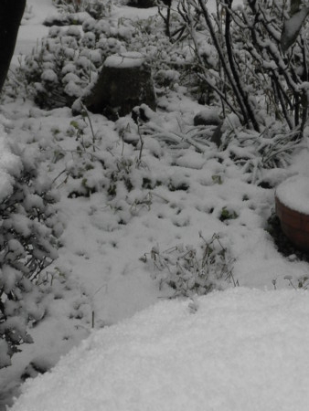 f:id:totetu:20091231214054j:image f:id:totetu:20091231214054j:image