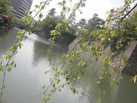 f:id:totetu:20100504065002j:image