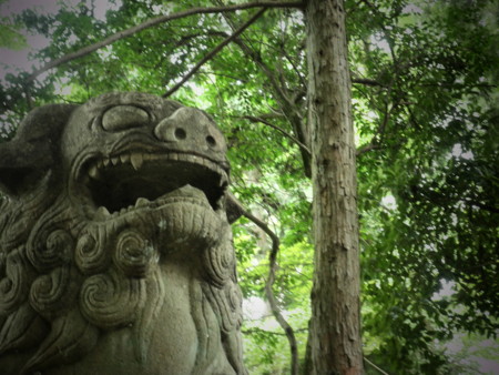 f:id:totetu:20100809195923j:image