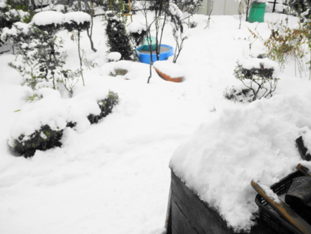 f:id:totetu:20101231132034j:image f:id:totetu:20101231132034j:image