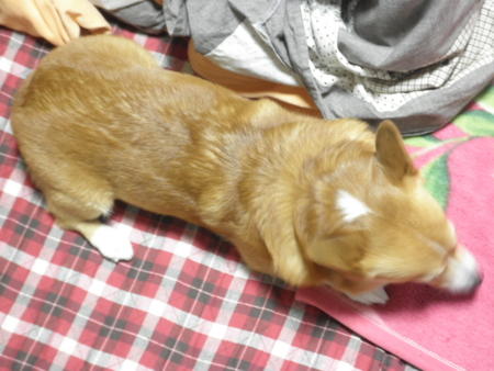 f:id:totetu:20101231175956j:image f:id:totetu:20101231175956j:image