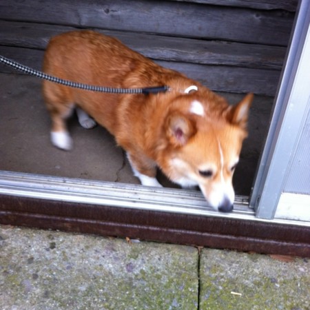 f:id:totetu:20120102080152j:image:w360 f:id:totetu:20120102080152j:image:w360