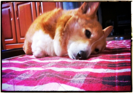 f:id:totetu:20120413193242j:image:w360