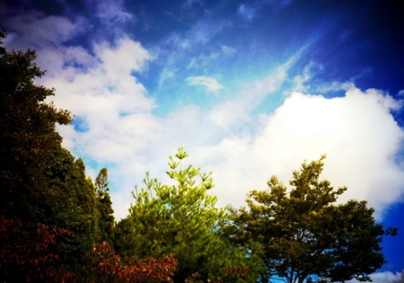 f:id:totetu:20120916220204j:image:w360 f:id:totetu:20120916220204j:image:w360