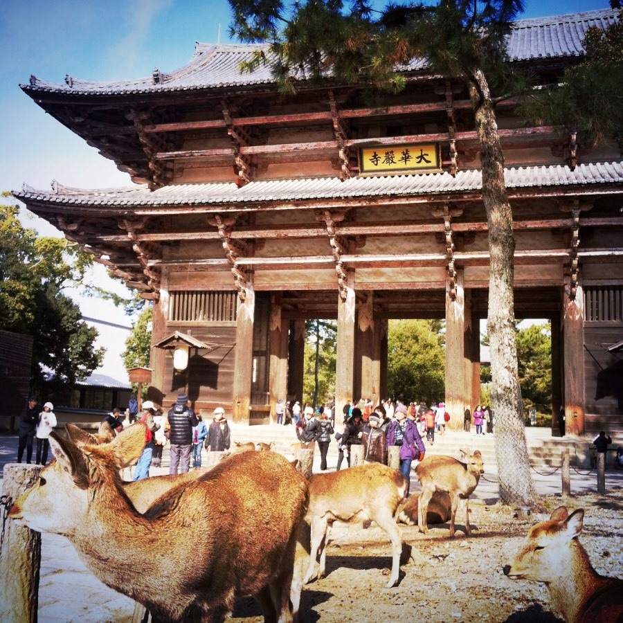 f:id:totetu:20130104181306j:image:w360