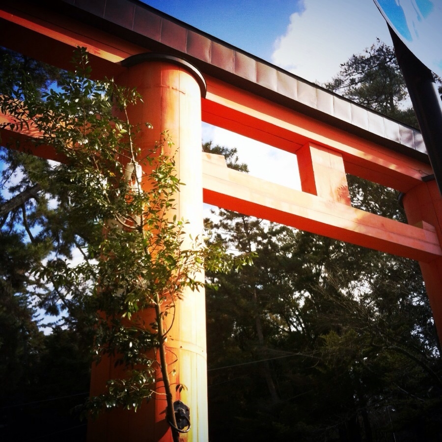 f:id:totetu:20130104181349j:image:w360