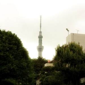 f:id:totetu:20130603184249j:image